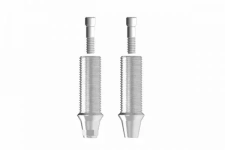 Temporary abutment ( metal)