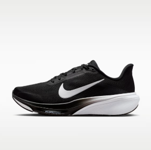 Nike Pegasus Plus Men