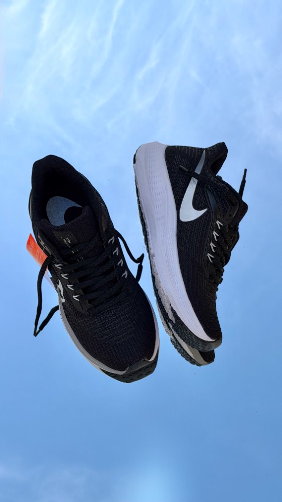 Nike Zoom Pegasus