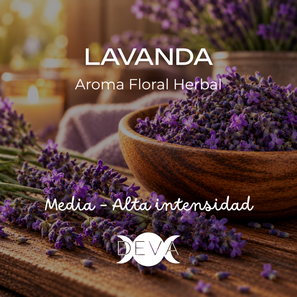 Fragancia Lavanda