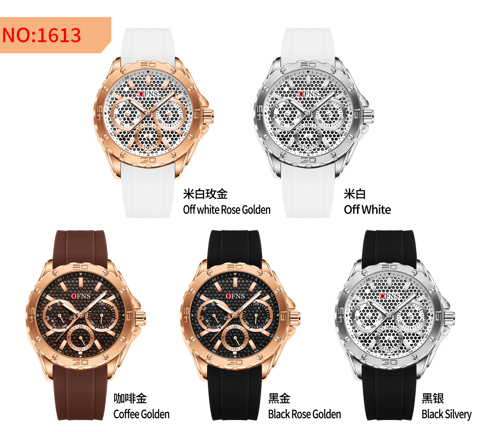 OFNS 1613