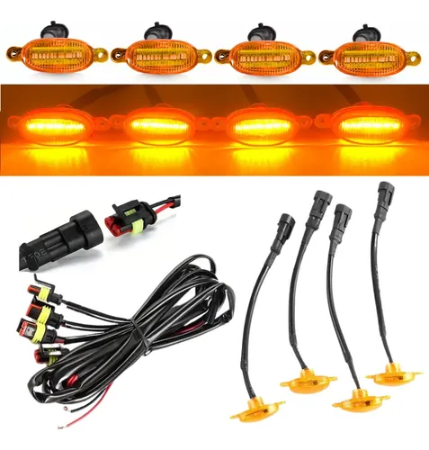 Luz Raptor