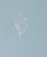 Biblia NVI Azul Tulipa - Letra Normal