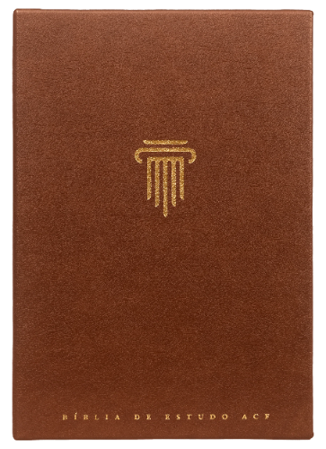 Biblia de ESTUDO ACF Couro Soft Marrom