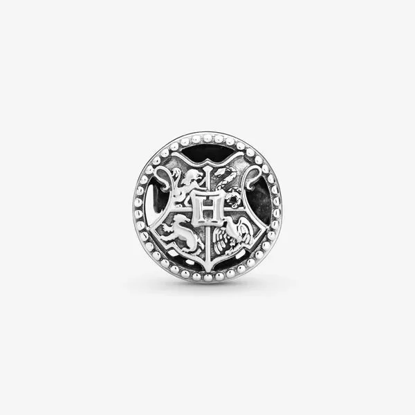 CHARM DE CASTILLO MAGICO HARRY POTTER