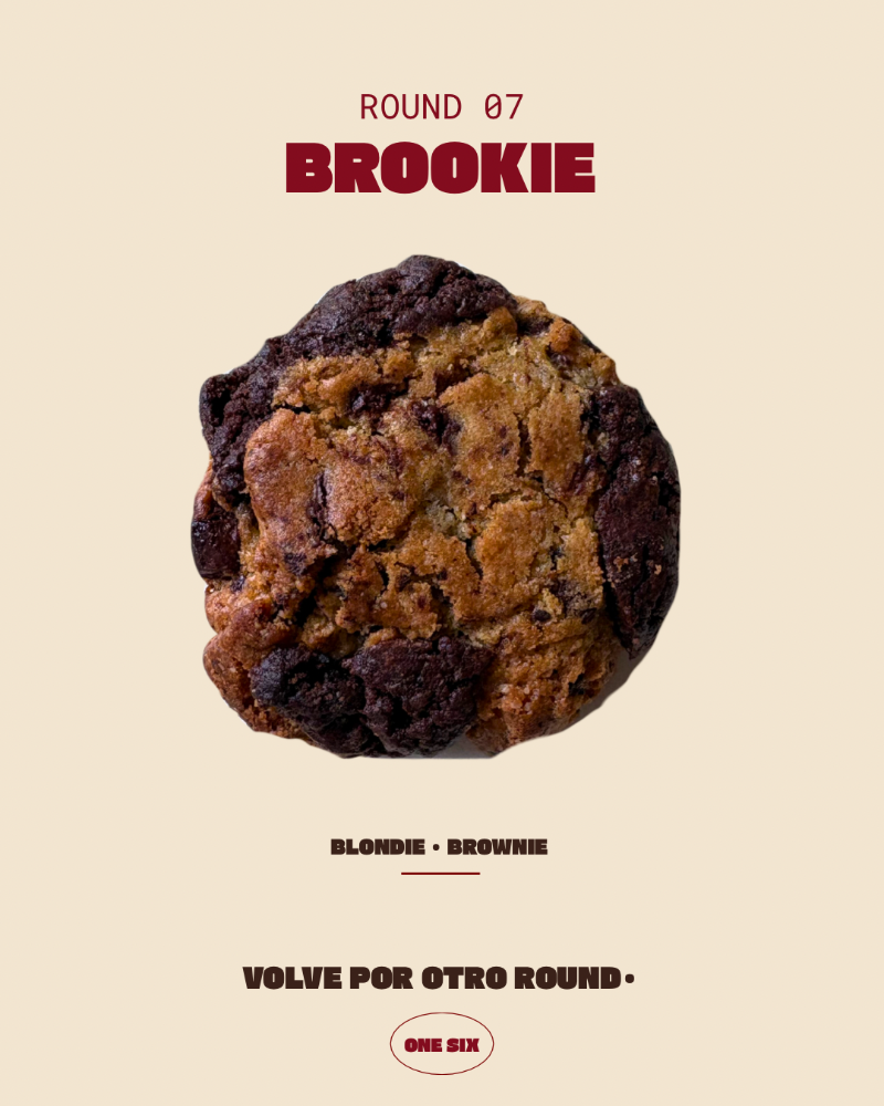 07- Brookie