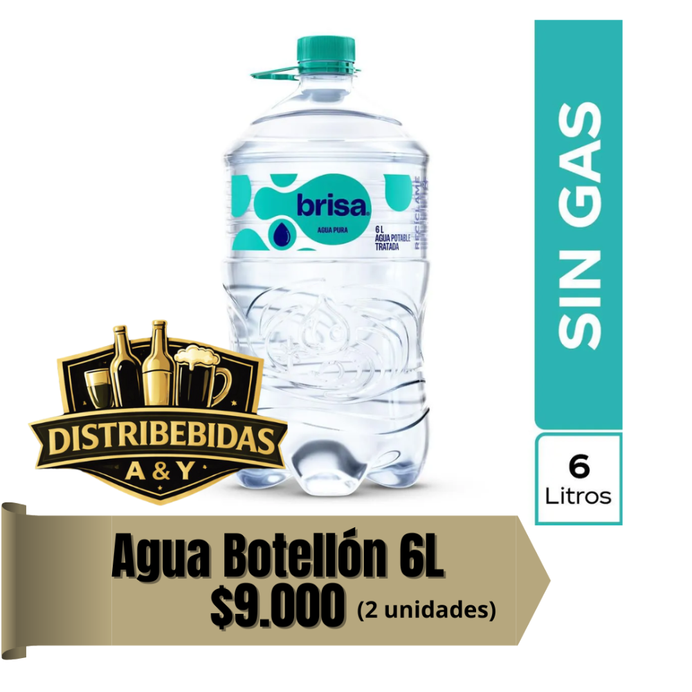Agua botellon 6 L x2