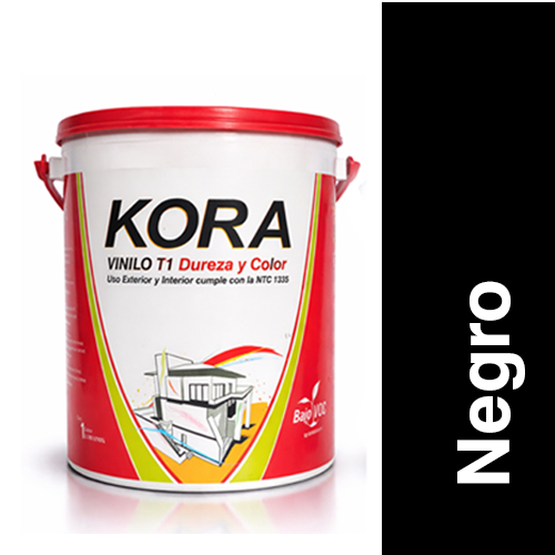 T1 Negro KB6