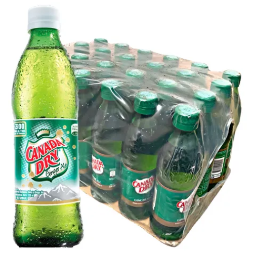 Display Canada Dry 300 ml x 24 Uds