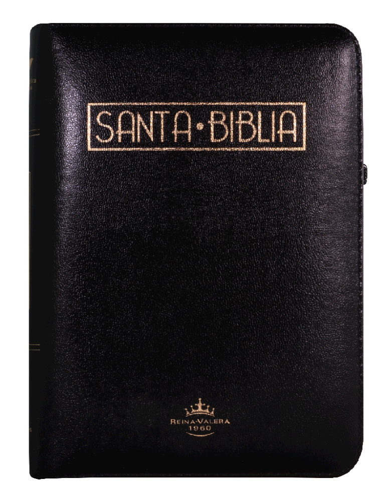 Biblia
