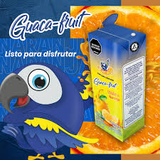 Jugo Guacamaya de Durazno 200ml