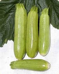 calabacin