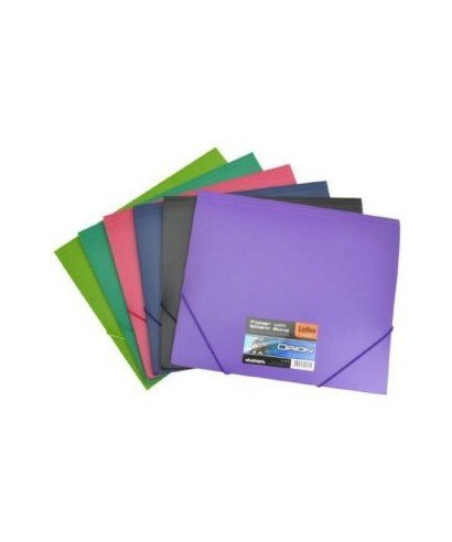 Carpeta plastica studmark