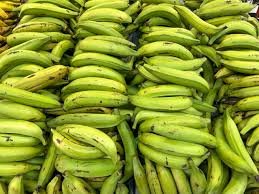Platanos