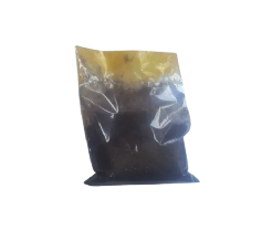 ACIDO FERRICO 60GR         2E   33/2