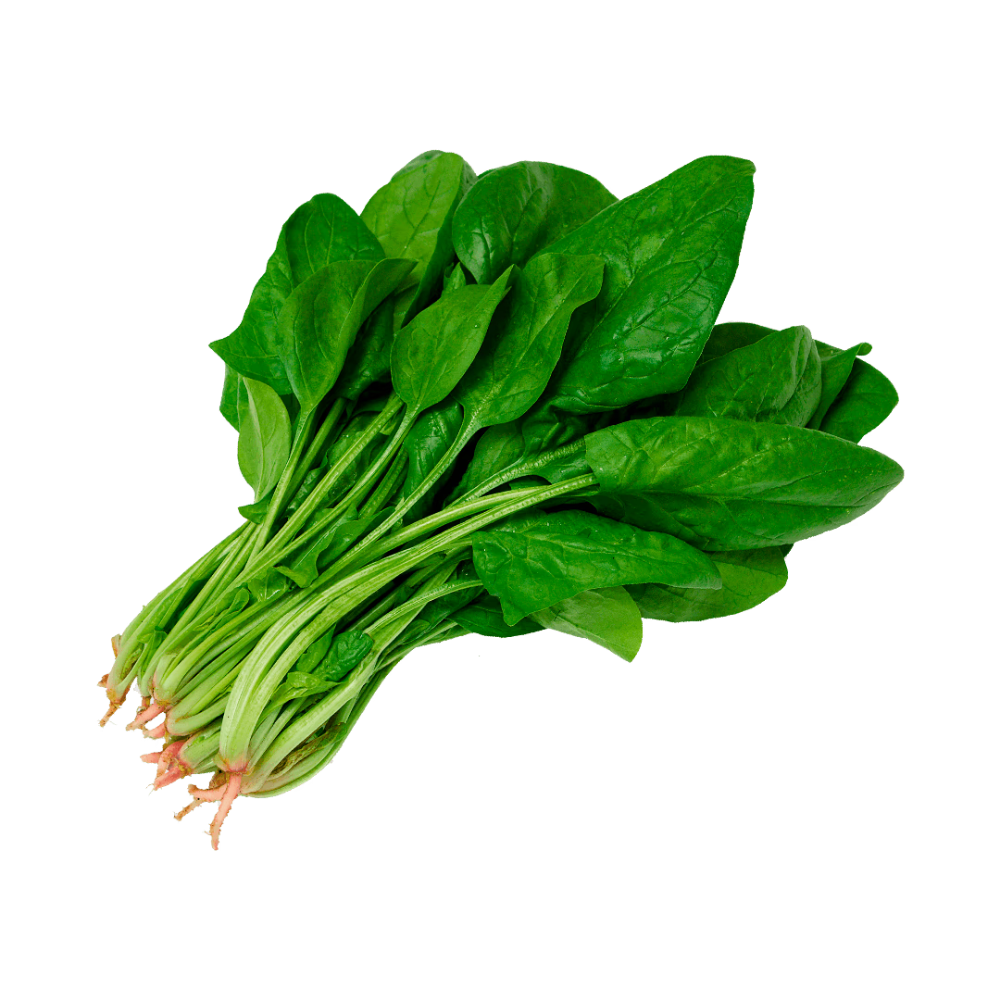 Espinaca