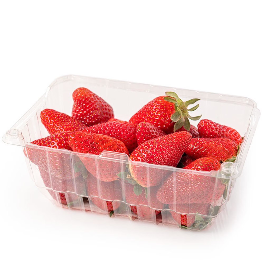 Frutillas 500g