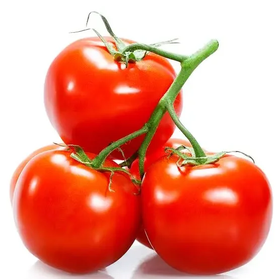tomates x 500g