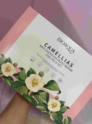 KIT DE CAMELIAS EN CAJA BIOAQUA
