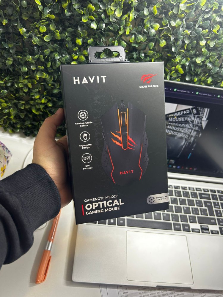 Mouse Gamer Havit
