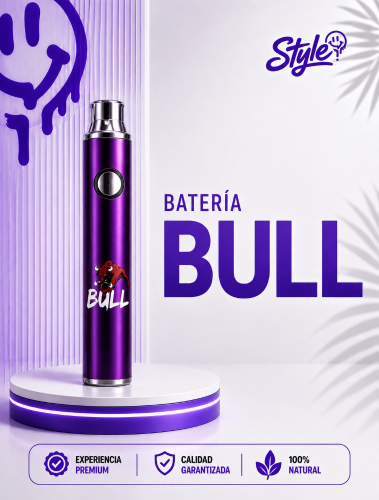 BATERÍAS BULL