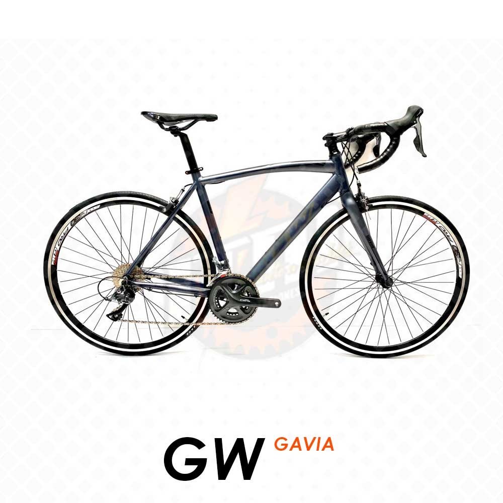 Bicicleta GW Ruta Gavia