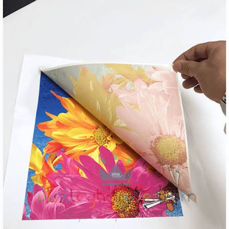 SUBLIMACION 50 x 100 cm