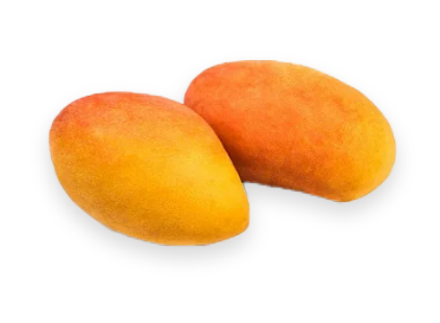 MANGO X KG