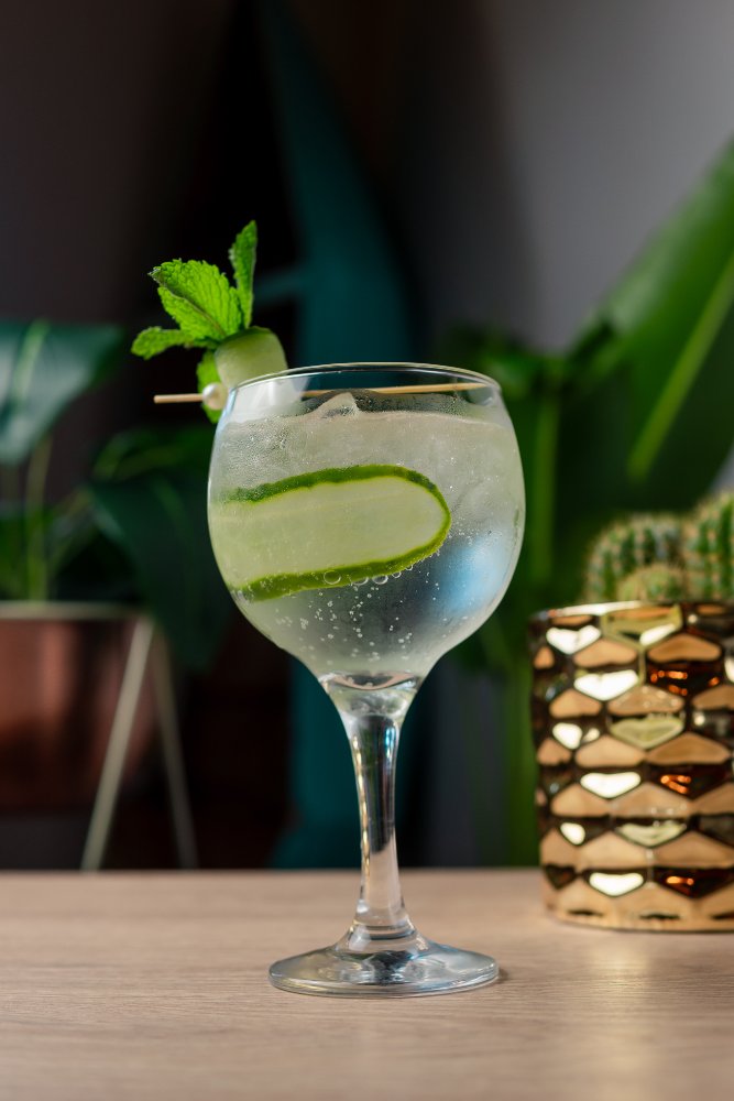 GIN TONIC CLÁSICO