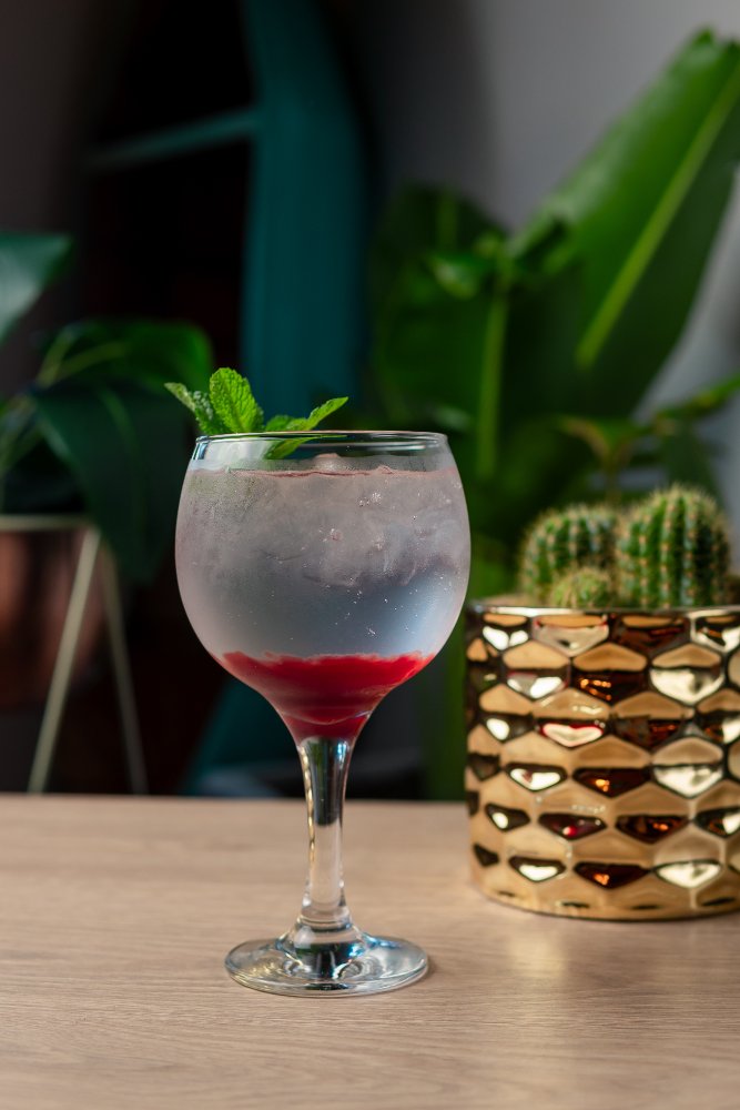 GIN TONIC DE COROZO