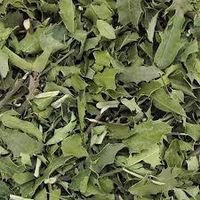 Espinheira Santa (Chá) - 100 g