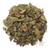 Uva Ursi - 100g