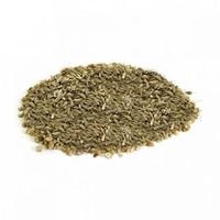 Erva Doce - 100 g