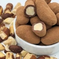 Drag Castanha Para 70% - 0% Açúcar - 100 g