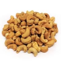 Cast Caju Torr S Sal - 100g