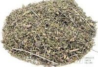 Alecrim do Campo - 100 g