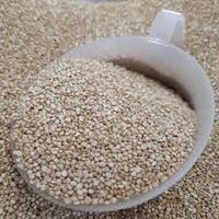 Quinoa Em Grãos Branca - 100 g