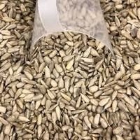 Semente De Girassol - 100 g