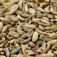 Funcho (Chá) - 100g