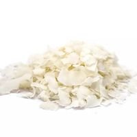 Chips Coco S/ Açúcar S/ Borda (Bran - 100g