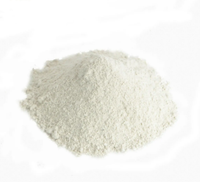 Dolomita - 100g