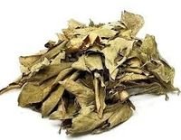 Laranjeira Folha - 100 g