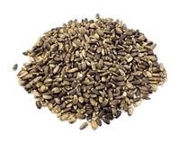 Cardo Mariano Sementes - 100 g