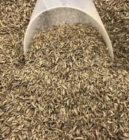 Cominho Em Graos - 100g