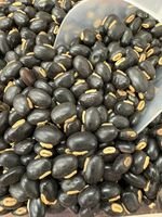 Mucuna Preta Grão - 100g