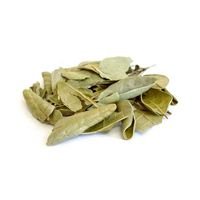 Boldo Chileno (Chá) - 100g