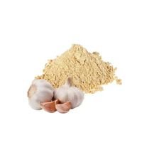 Alho Desidratado Pó - 100g