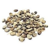 Semente De Emburana - 100 g