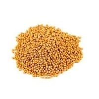 Mostarda Amarela Em Grãos - 100g