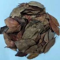 Insulina Folha - Kg